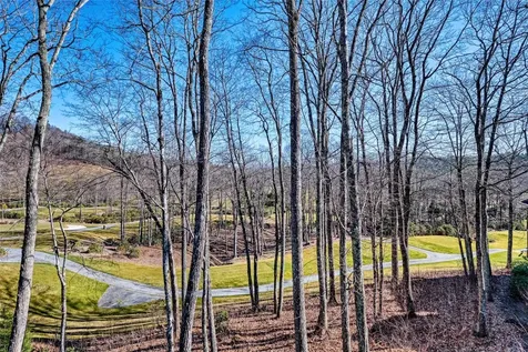 76 Sanctuary Highlands NC 28741