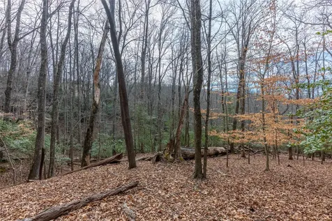0 Aberdeen Pisgah Forest NC 28768
