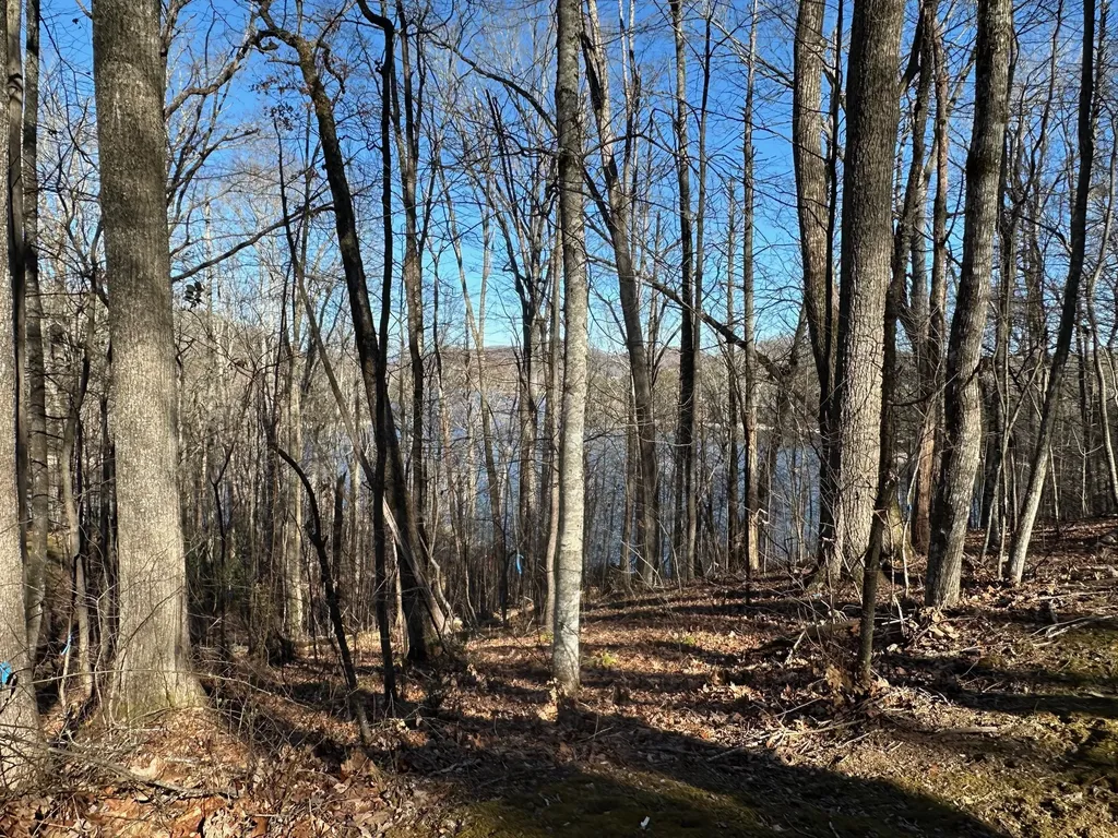 Lot 3 Lake Breeze Drive Cullowhee NC 28723