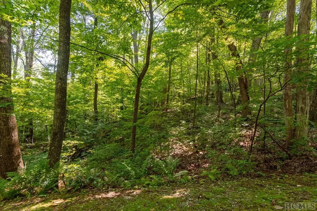 Lot 3 Lake Breeze Drive Cullowhee NC 28723