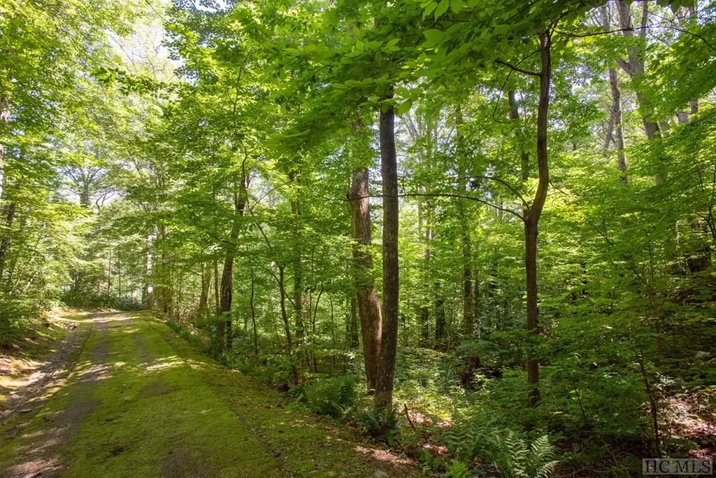 Lot 3 Lake Breeze Drive Cullowhee NC 28723