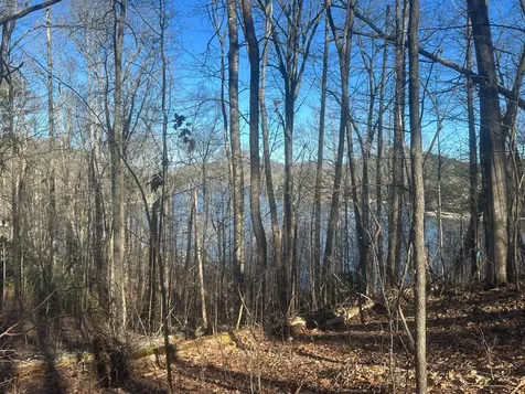 Lot 3 Lake Breeze Drive Cullowhee NC 28723