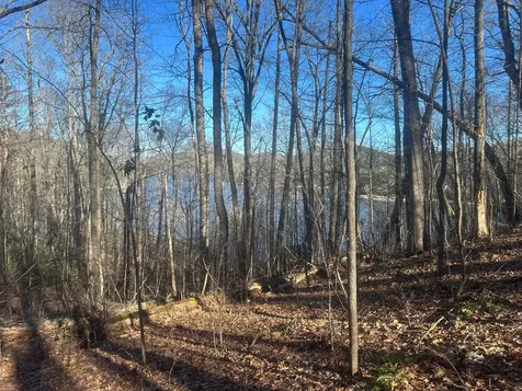 Lot 3 Lake Breeze Drive Cullowhee NC 28723