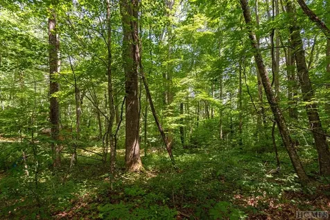 Lot 3 Lake Breeze Drive Cullowhee NC 28723