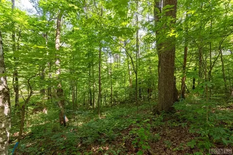 Lot 3 Lake Breeze Drive Cullowhee NC 28723