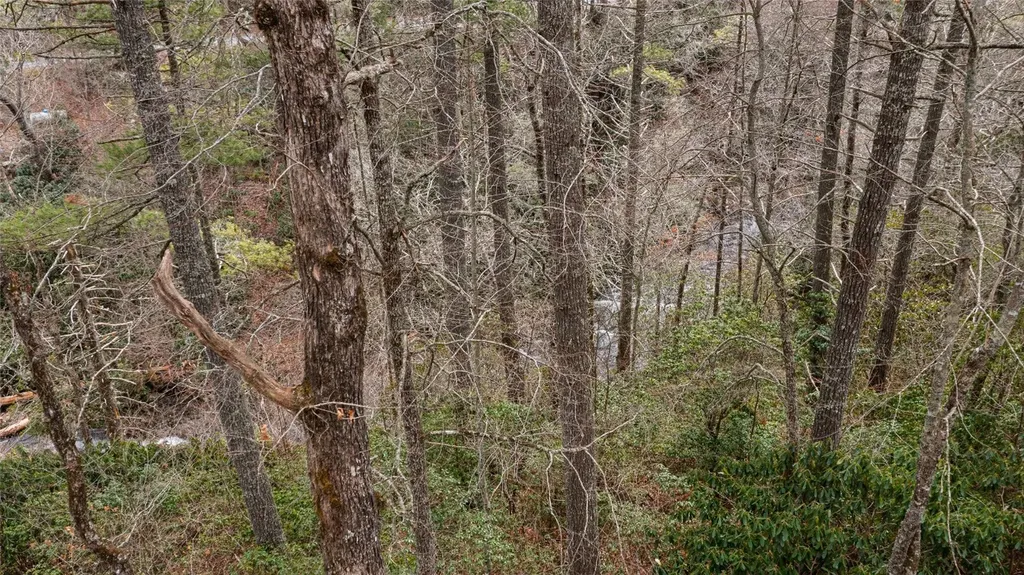 5 Lakeside Falls Cullowhee NC 28723