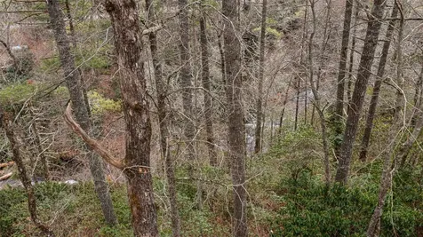 5 Lakeside Falls Cullowhee NC 28723