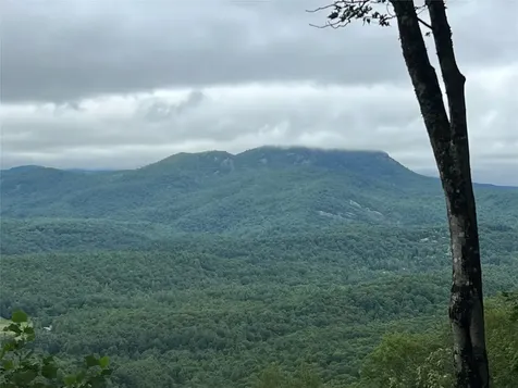 69 Old Cove Highlands NC 28741