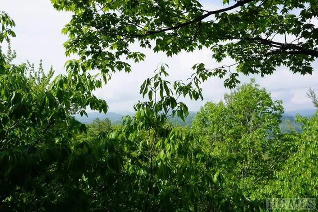 0 Cowee Ridge Road Highlands NC 28741