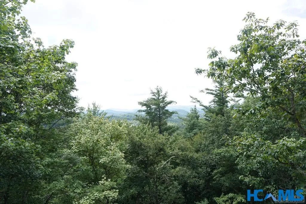 0 Cowee Ridge Road Highlands NC 28741