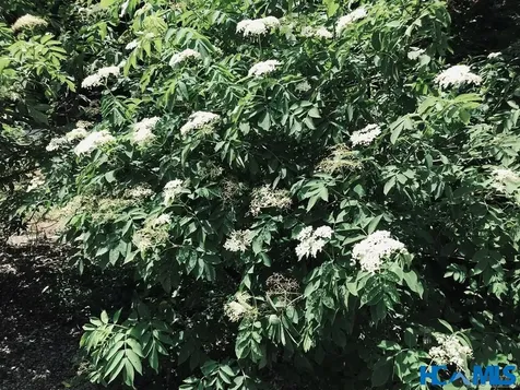 178 Whetstone Gap Road Lake Toxaway NC 28747