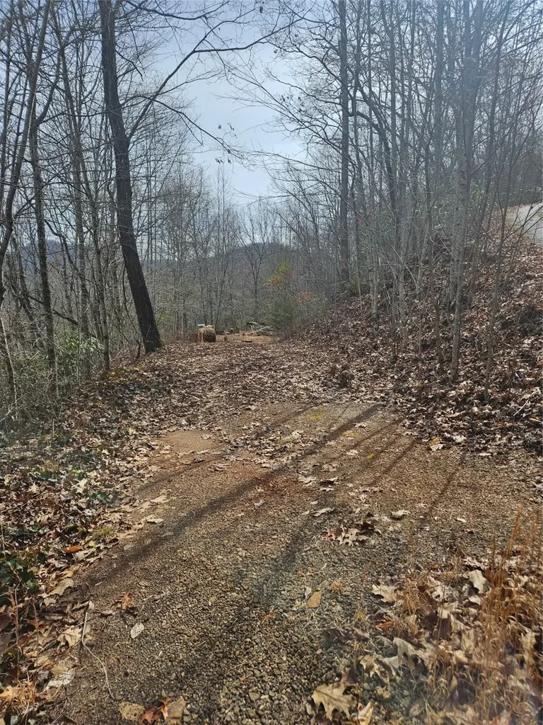197 Plain View Ridge Sylva NC 28779