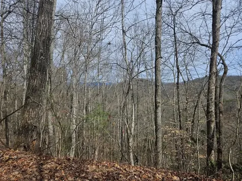197 Plain View Ridge Sylva NC 28779