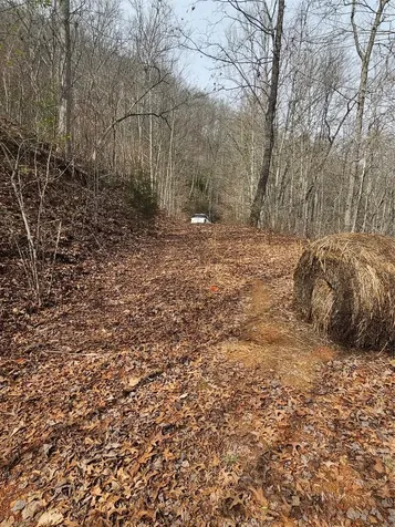 197 Plain View Ridge Sylva NC 28779