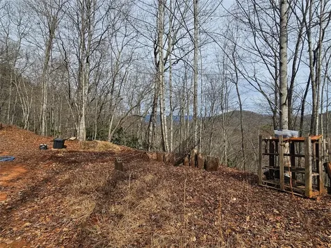 197 Plain View Ridge Sylva NC 28779
