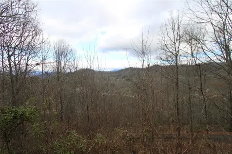 236 Plain View Ridge Sylva NC 28779