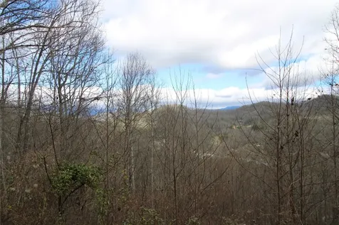 236 Plain View Ridge Sylva NC 28779