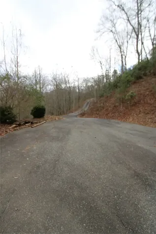 236 Plain View Ridge Sylva NC 28779