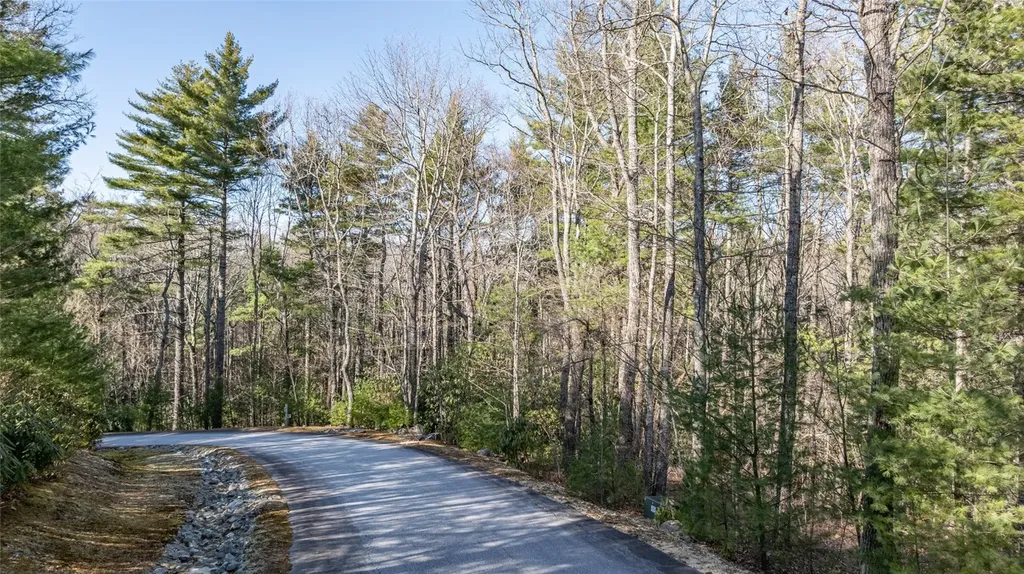 38 Loblolly Lane Cashiers NC 28717