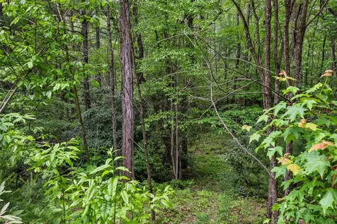 38 Loblolly Lane Cashiers NC 28717