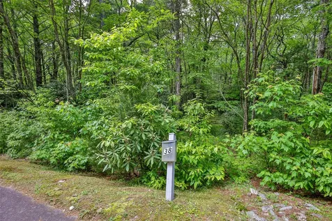 38 Loblolly Lane Cashiers NC 28717