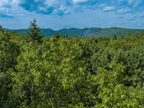 38 Loblolly Lane Cashiers NC 28717