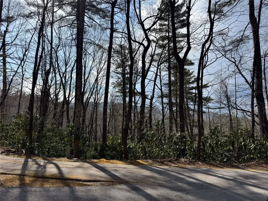 285 Pine Cone Court Sapphire NC 28774