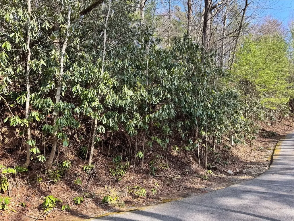 285 Pine Cone Court Sapphire NC 28774