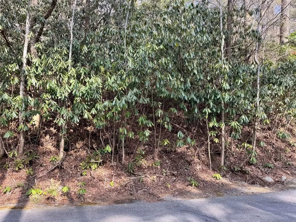 285 Pine Cone Court Sapphire NC 28774