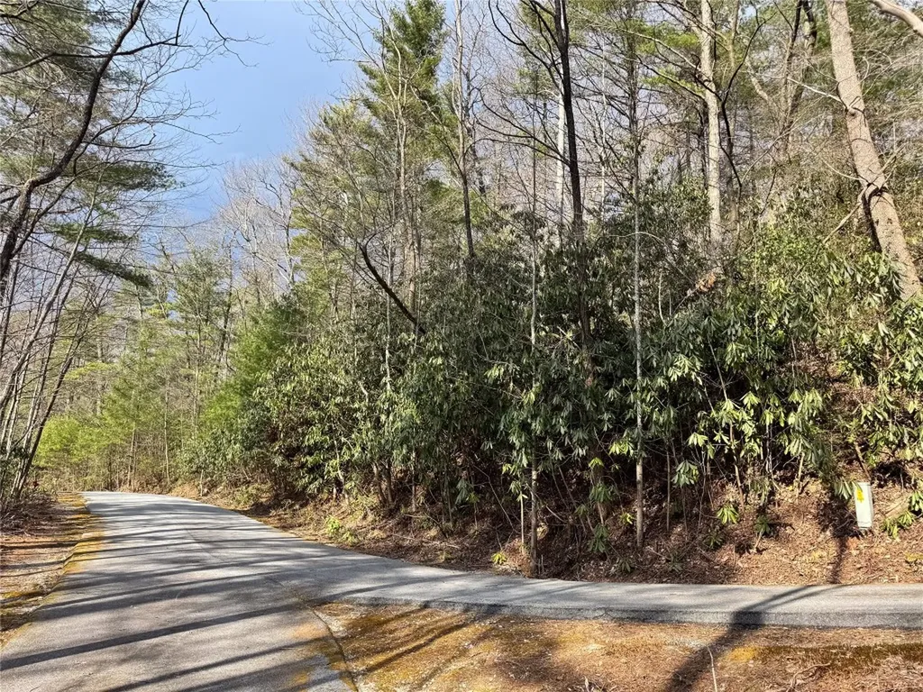 285 Pine Cone Court Sapphire NC 28774