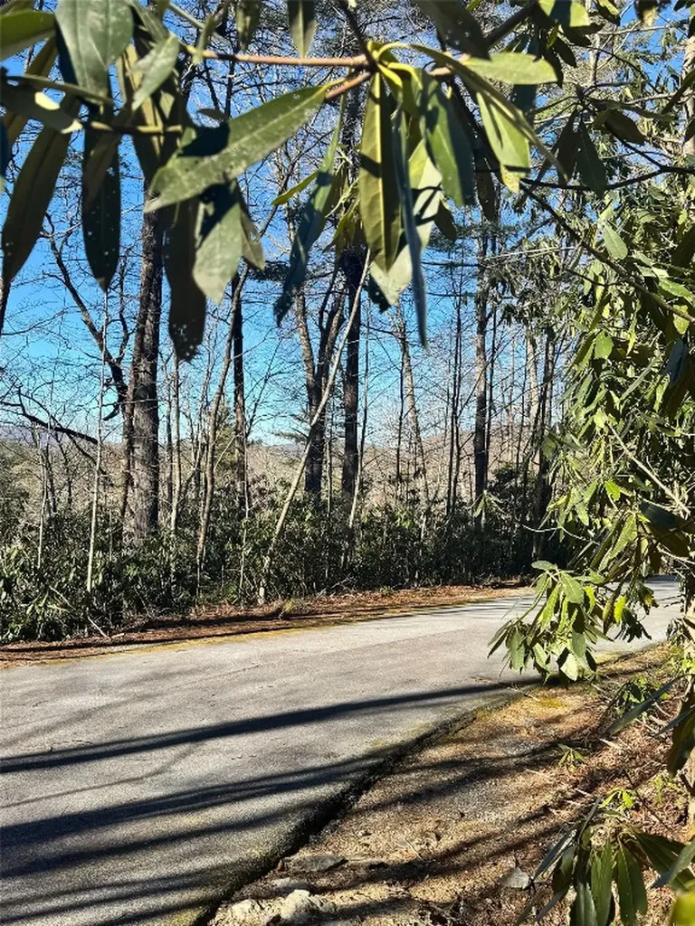 285 Pine Cone Court Sapphire NC 28774