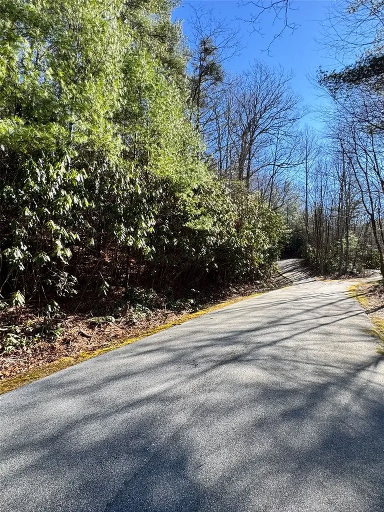 285 Pine Cone Court Sapphire NC 28774