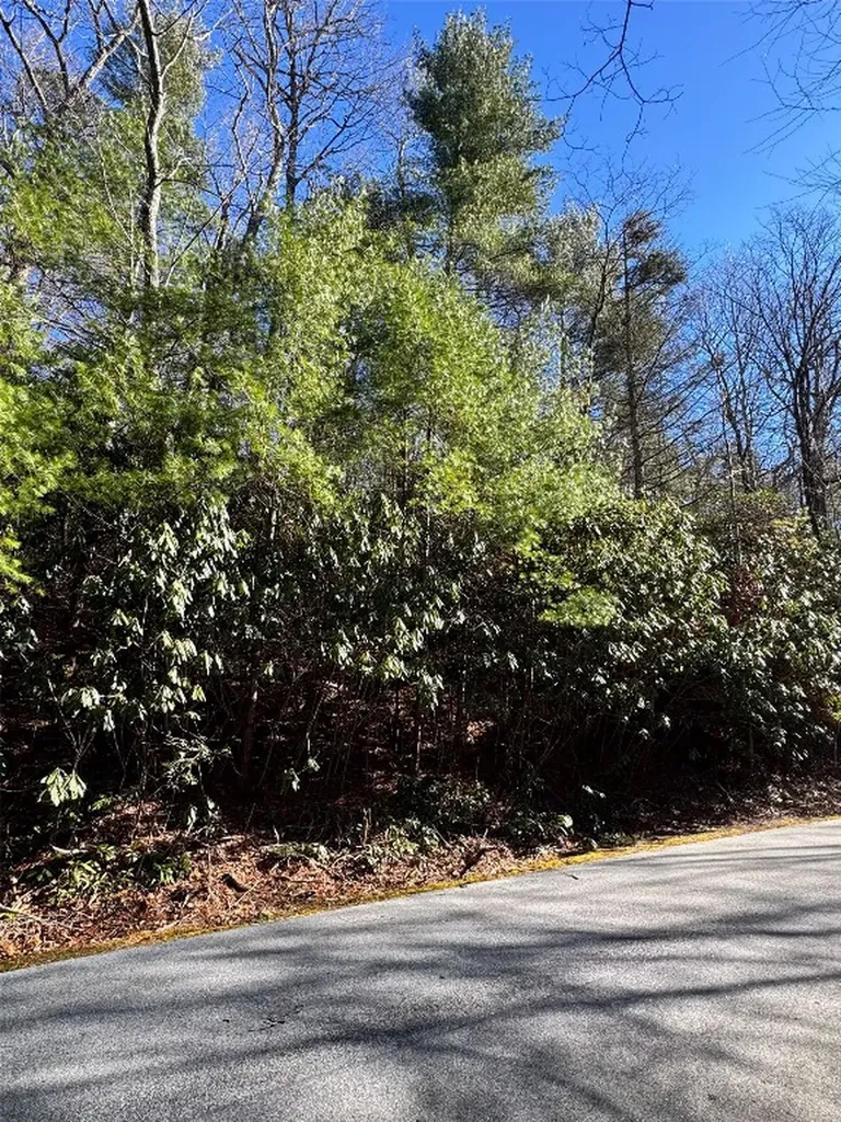 285 Pine Cone Court Sapphire NC 28774