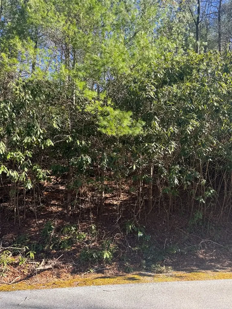 285 Pine Cone Court Sapphire NC 28774