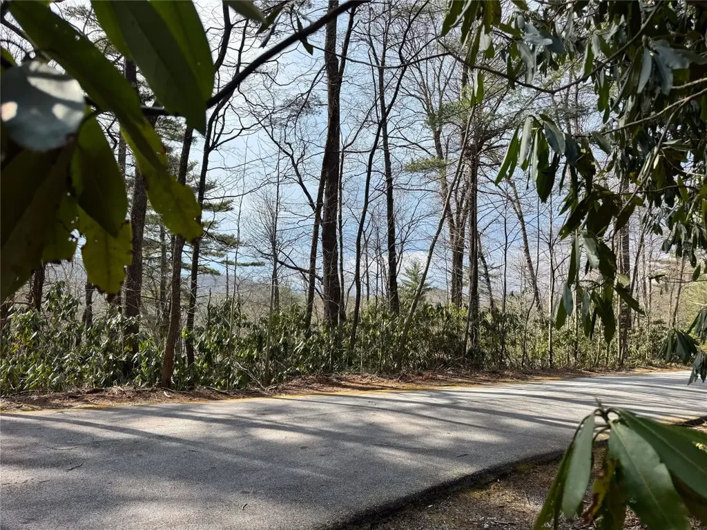 285 Pine Cone Court Sapphire NC 28774