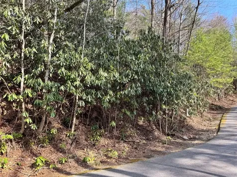 285 Pine Cone Court Sapphire NC 28774