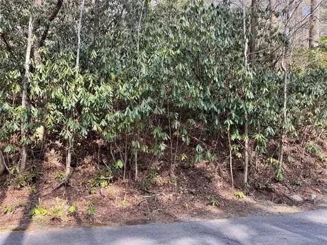 285 Pine Cone Court Sapphire NC 28774
