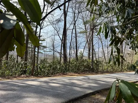 285 Pine Cone Court Sapphire NC 28774