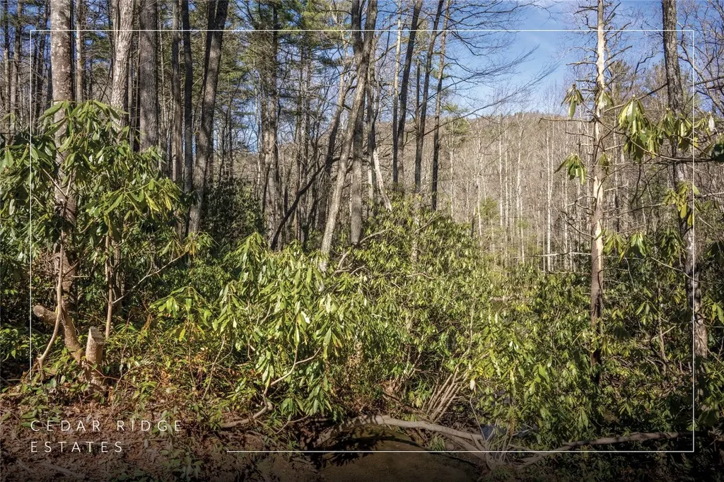 60 Wandering Ridge Cashiers NC 28723