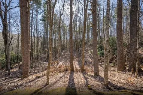 60 Wandering Ridge Cashiers NC 28723