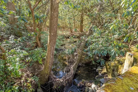 60 Wandering Ridge Cashiers NC 28723