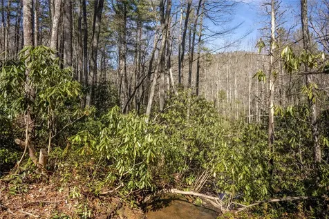 60 Wandering Ridge Cashiers NC 28723