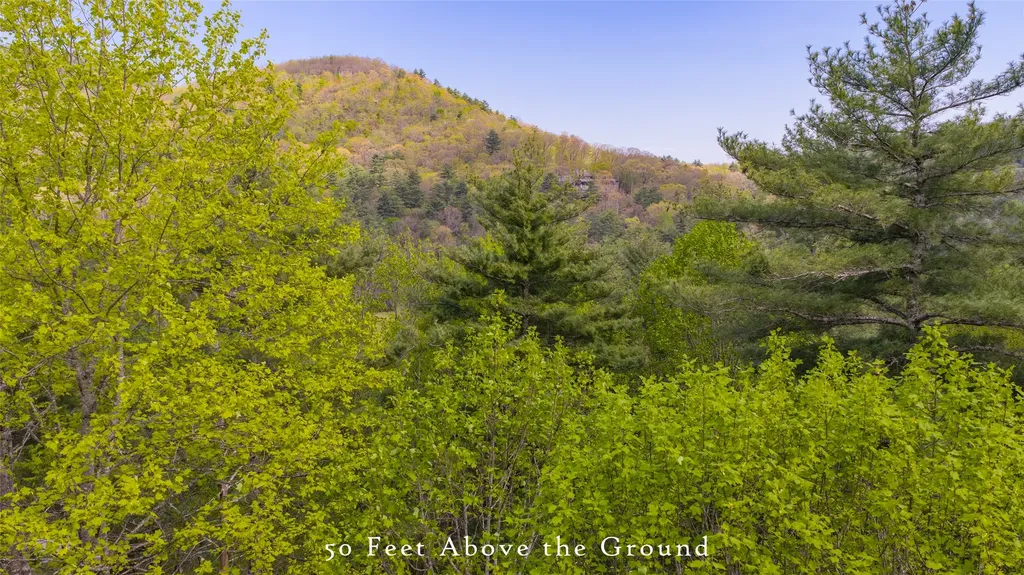 RT-6 Broadwing Cashiers NC 28717