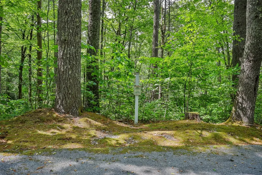 43 Rochester Drive Cashiers NC 28717