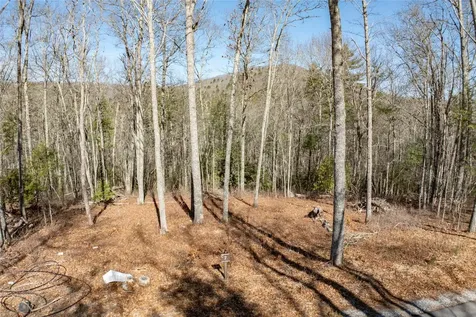 C7 Snowcrest Drive Glenville NC 28736