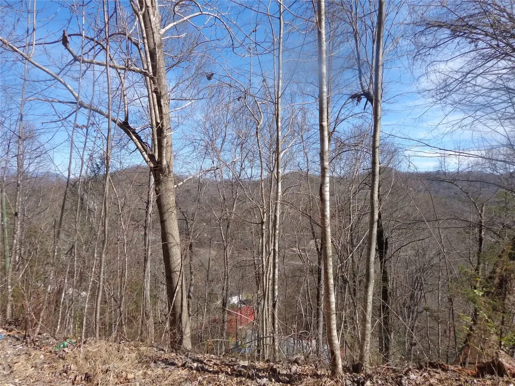 148 Plainview Ridge Sylva NC 28779