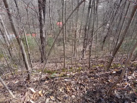 148 Plainview Ridge Sylva NC 28779
