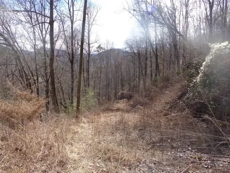 148 Plainview Ridge Sylva NC 28779