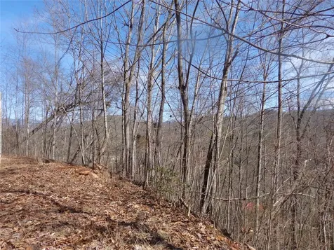 148 Plainview Ridge Sylva NC 28779