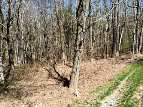 223 Drystack Way Cashiers NC 28717